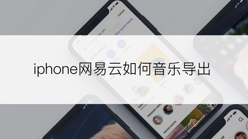 iphone网易云如何音乐导出