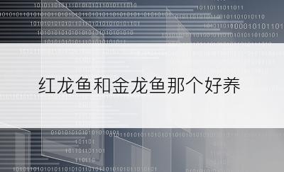 红龙鱼和金龙鱼那个好养