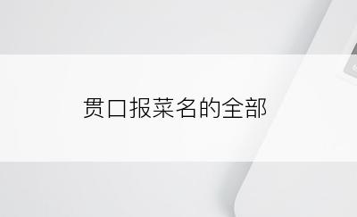 贯口报菜名的全部