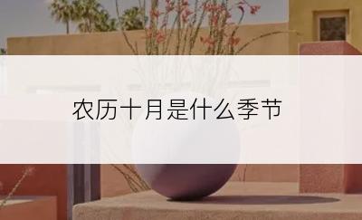 农历十月是什么季节