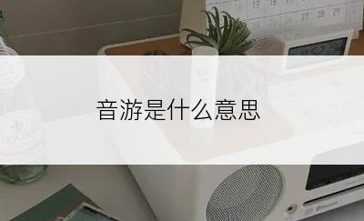 音游是什么意思