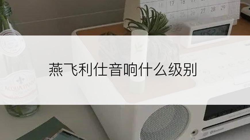 燕飞利仕音响什么级别