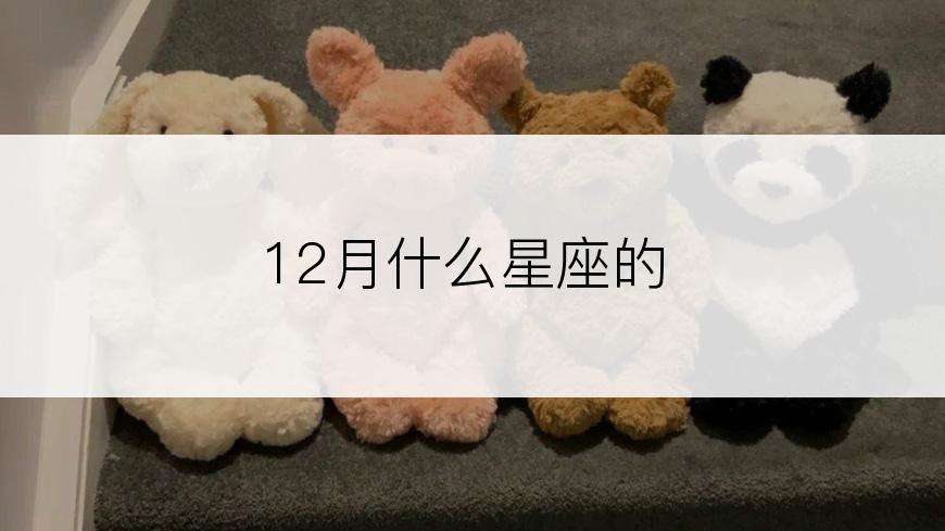 12月什么星座的