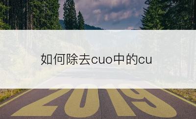 如何除去cuo中的cu