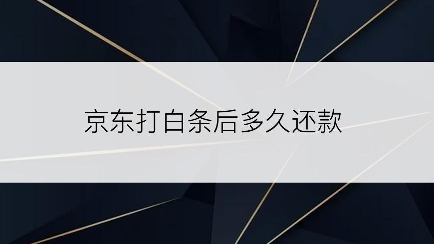 京东打白条后多久还款