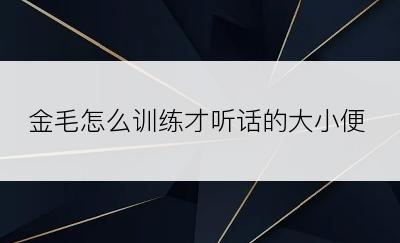 金毛怎么训练才听话的大小便