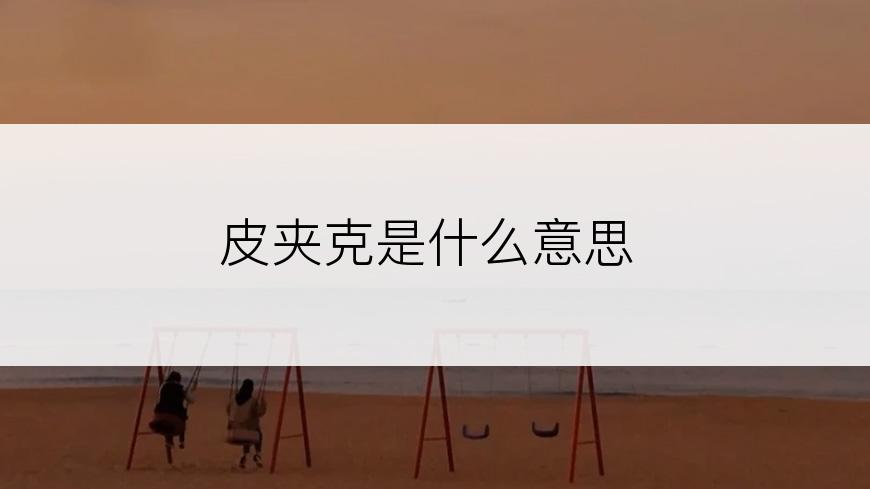 皮夹克是什么意思