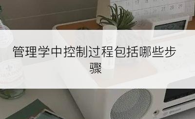 管理学中控制过程包括哪些步骤