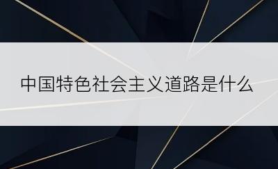 中国特色社会主义道路是什么