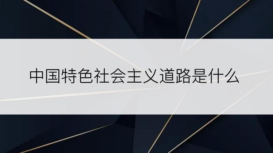 中国特色社会主义道路是什么