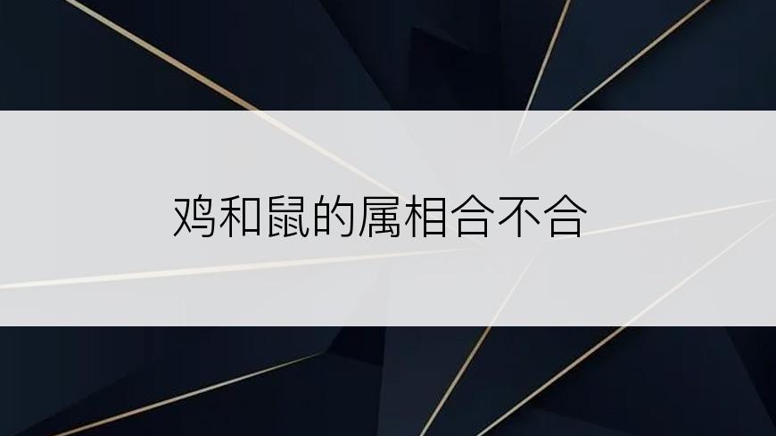 鸡和鼠的属相合不合