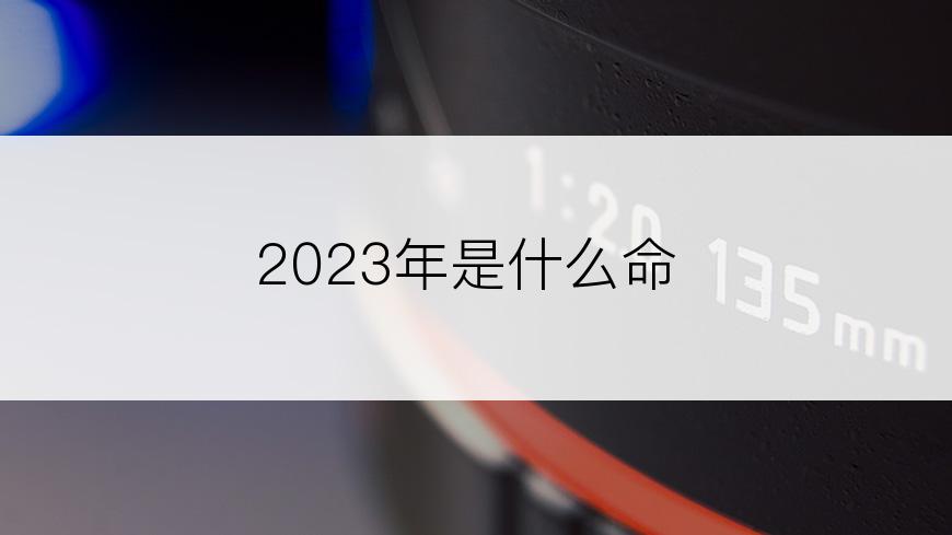 2023年是什么命