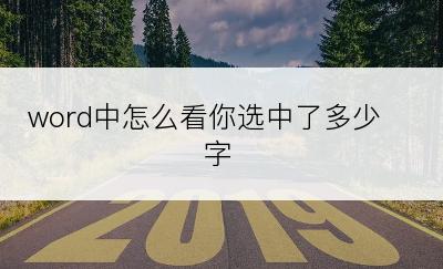 word中怎么看你选中了多少字