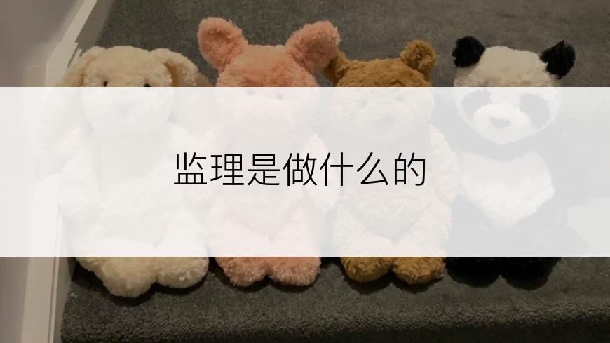 监理是做什么的