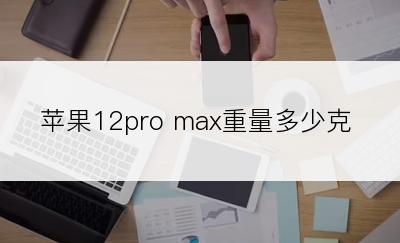 苹果12pro max重量多少克