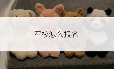 军校怎么报名