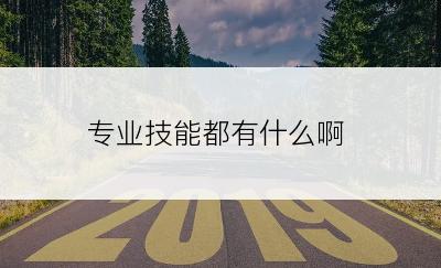 专业技能都有什么啊