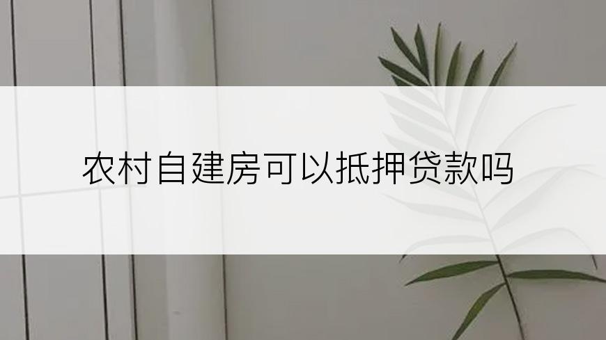 农村自建房可以抵押贷款吗