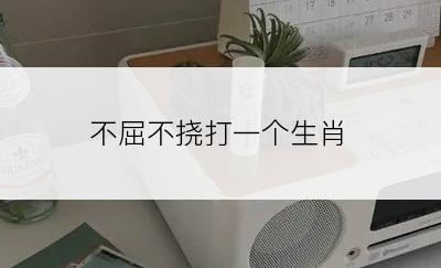 不屈不挠打一个生肖