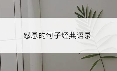 感恩的句子经典语录