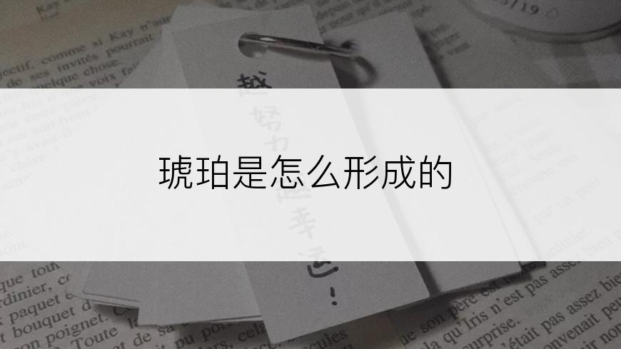 琥珀是怎么形成的