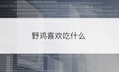 野鸡喜欢吃什么