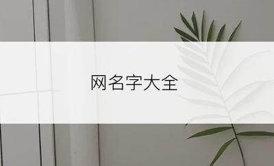 网名字大全