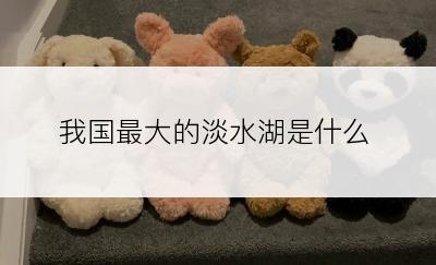 我国最大的淡水湖是什么