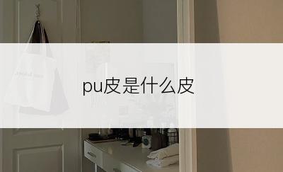 pu皮是什么皮