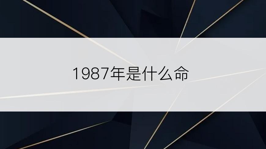 1987年是什么命