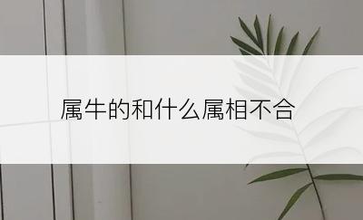 属牛的和什么属相不合