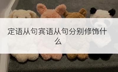 定语从句宾语从句分别修饰什么