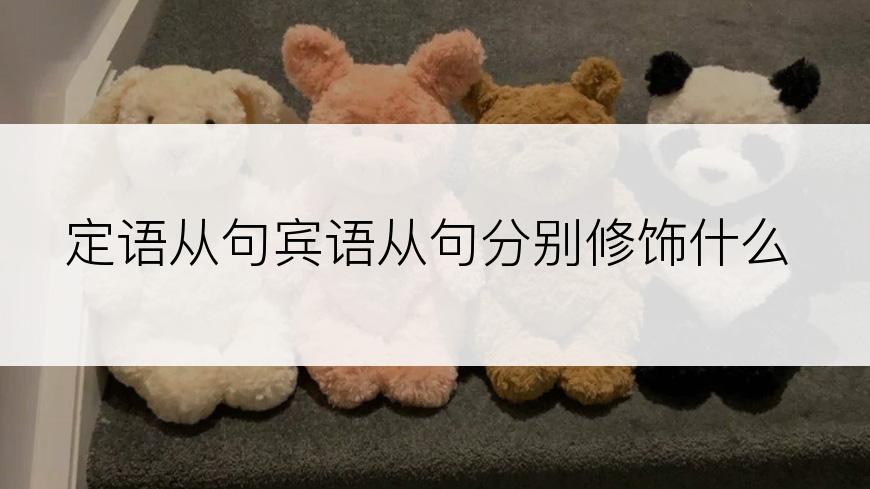 定语从句宾语从句分别修饰什么