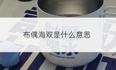 布偶海双是什么意思