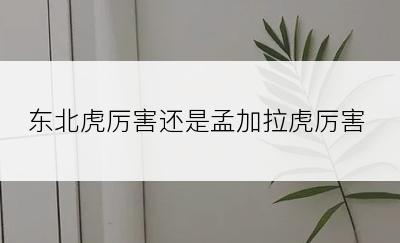 东北虎厉害还是孟加拉虎厉害