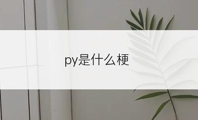 py是什么梗