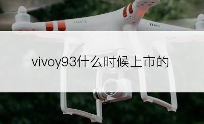 vivoy93什么时候上市的