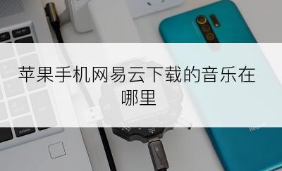 苹果手机网易云下载的音乐在哪里