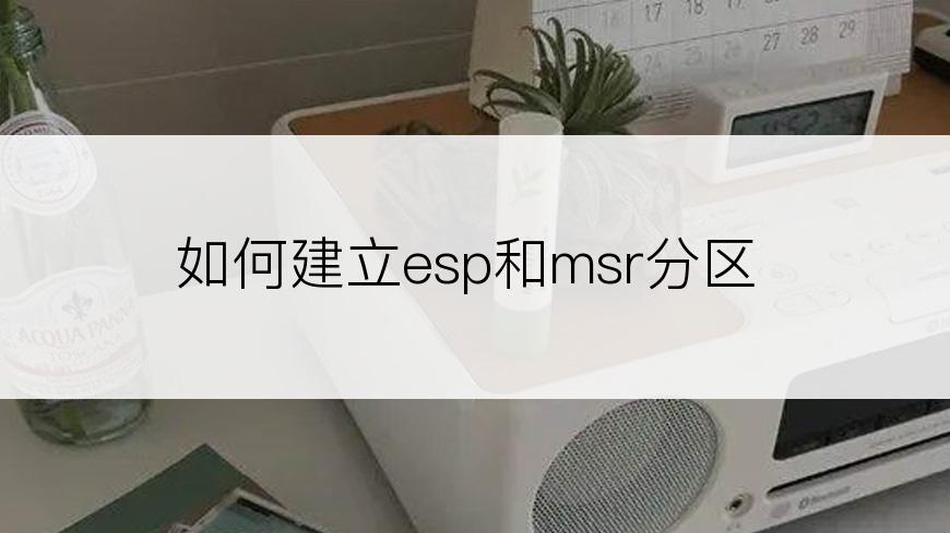 如何建立esp和msr分区