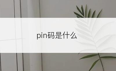 pin码是什么