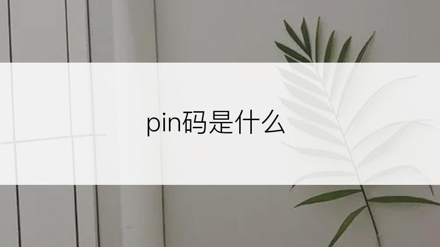 pin码是什么