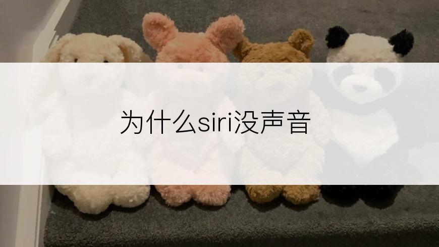 为什么siri没声音