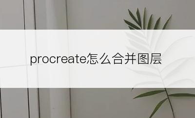 procreate怎么合并图层