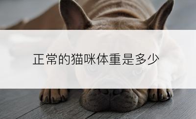 正常的猫咪体重是多少