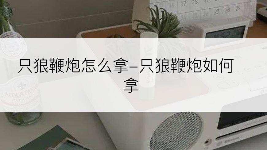 只狼鞭炮怎么拿-只狼鞭炮如何拿