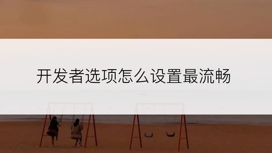 开发者选项怎么设置最流畅