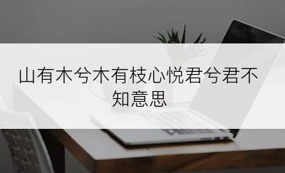 山有木兮木有枝心悦君兮君不知意思