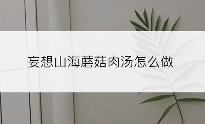 妄想山海蘑菇肉汤怎么做