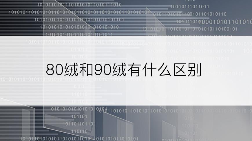 80绒和90绒有什么区别