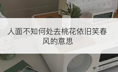 人面不知何处去桃花依旧笑春风的意思